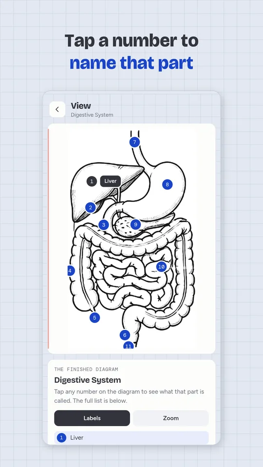 How To Draw Diagram Science app screenshot: Tap a number to name that part