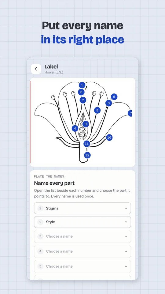 How To Draw Diagram Science app screenshot: Put every name in its right place